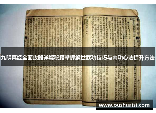 九阴真经全面攻略详解秘籍掌握绝世武功技巧与内功心法提升方法